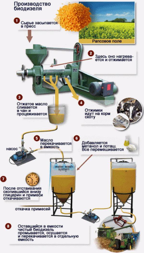 Как получить биогаз из навоза, биогазовая установка своими руками