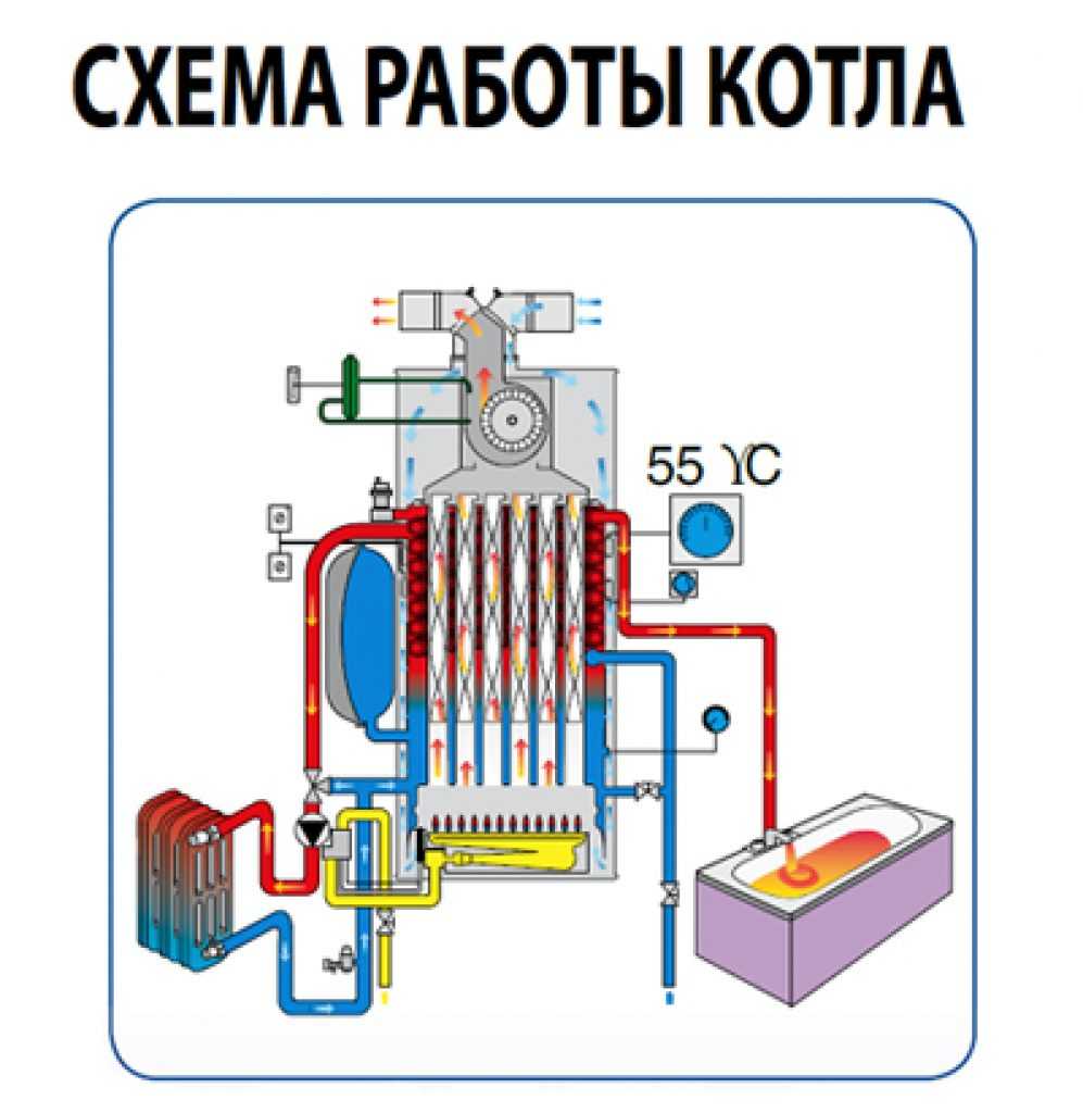 Принцип работы двухконтурного газового котла - как работает в режиме отопления и гвс