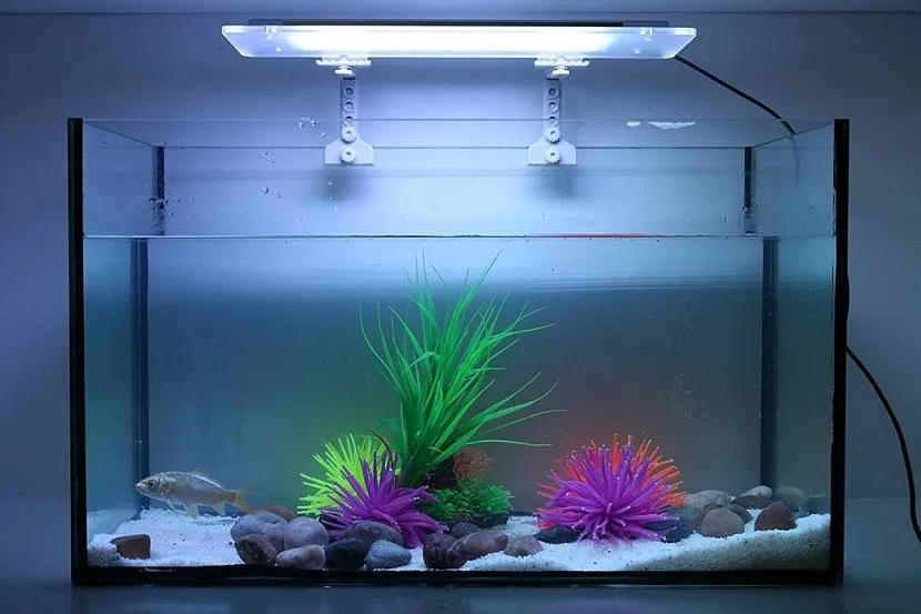 Лучшие лампы для аквариума на 2022 год