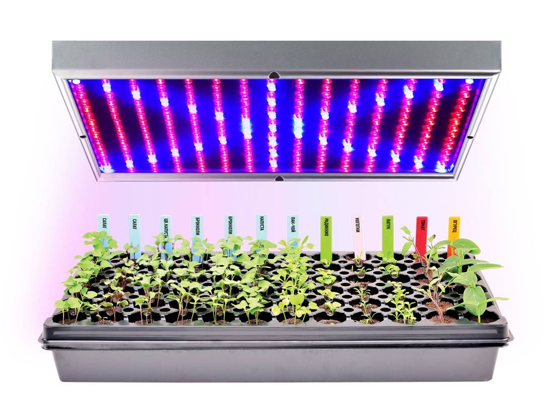 Светодиодная фитолампа для растений своими руками: расположение, использование + видео » eтеплица