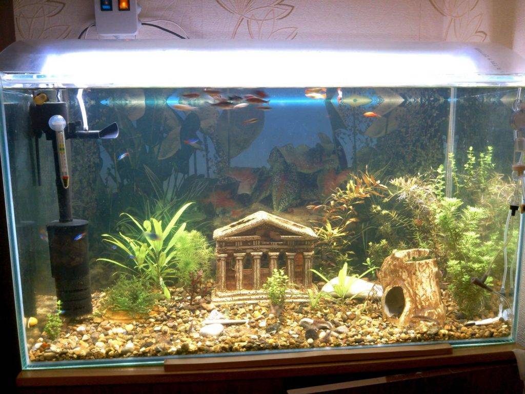 Время освещения аквариума