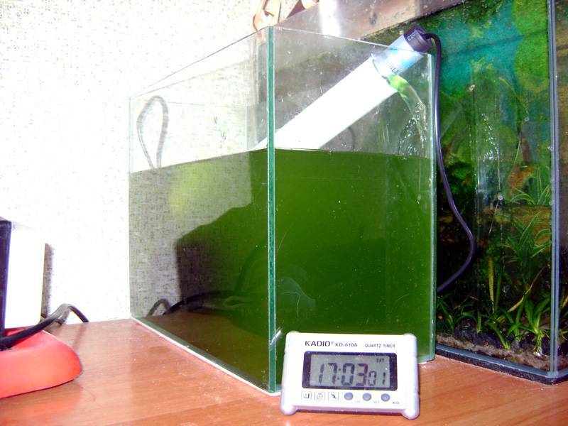 Ультрафиолетовая лампа для аквариума для черепах