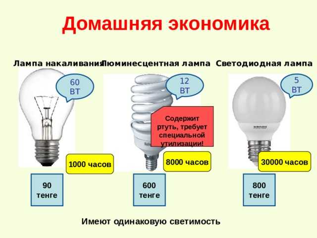 В каких лампах содержится ртуть. разбилась энергосберегающая лампочка в квартире — ваши действия