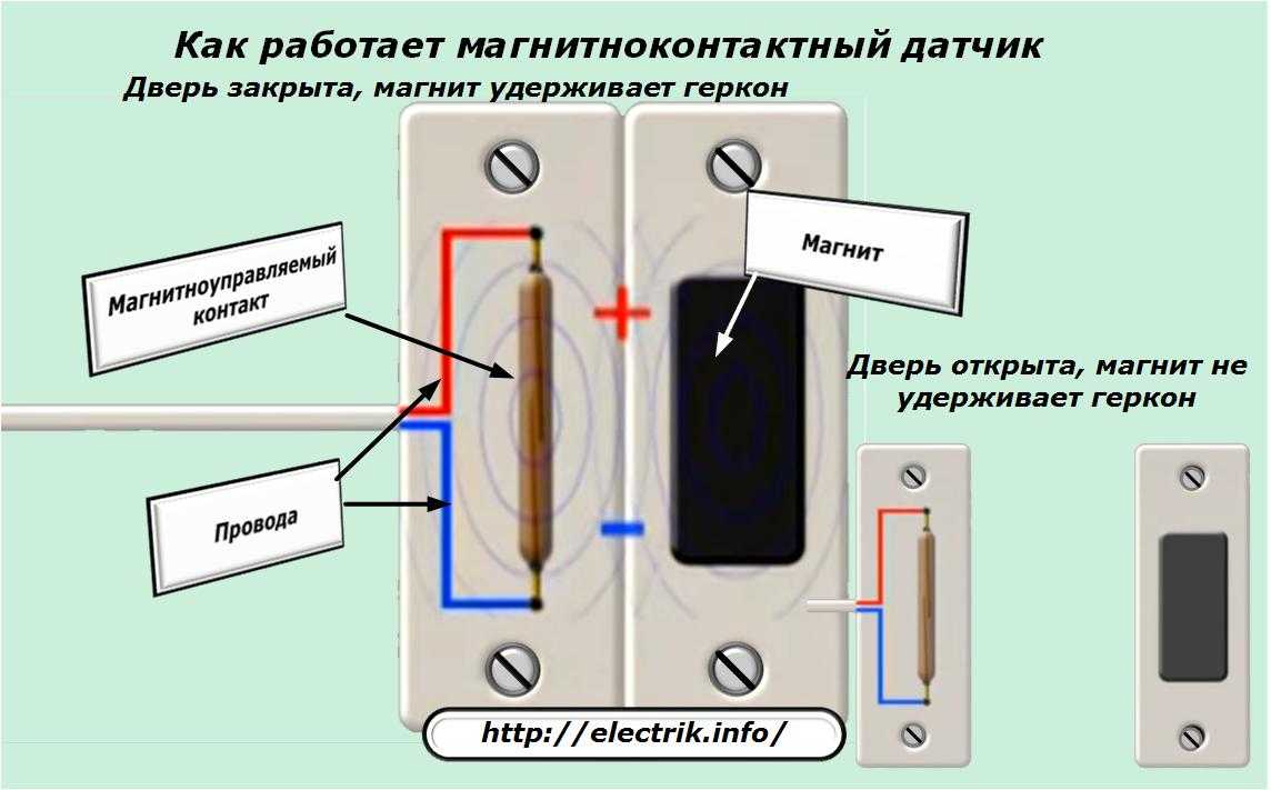 Герконы. виды и устройство. особенности и работа. применение