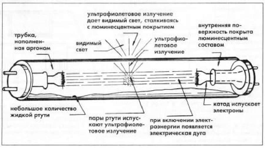Люминесцентные лампы - это какие? типы люминесцентных ламп.