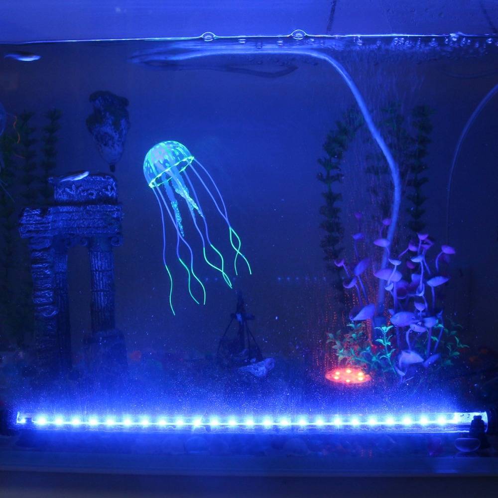 Освещение для аквариума (аквариумный свет): время работы, какой лучше, сколько света, как подобрать, расположение подсветки
