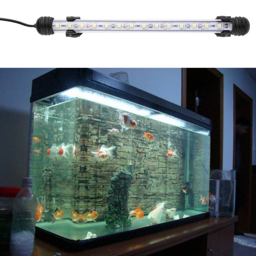 Освещение для аквариума: типы ламп и особенности 