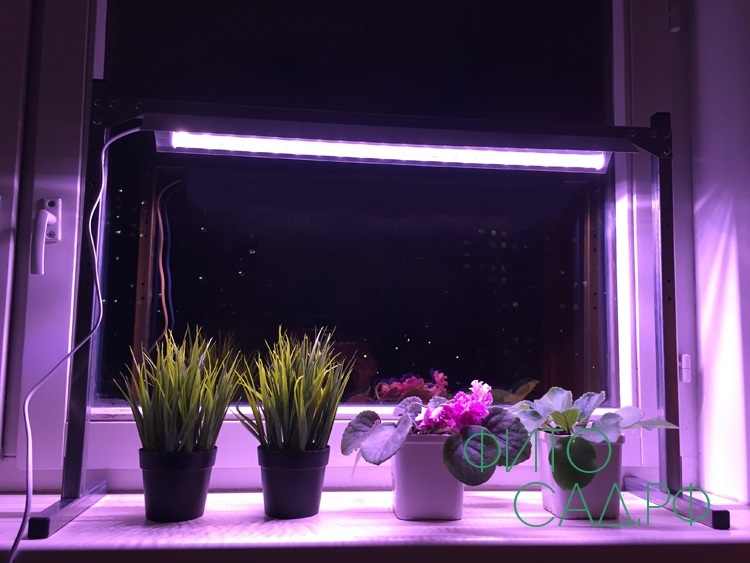 Освещение для рассады в домашних условиях или как происходит зимняя досветка растений.