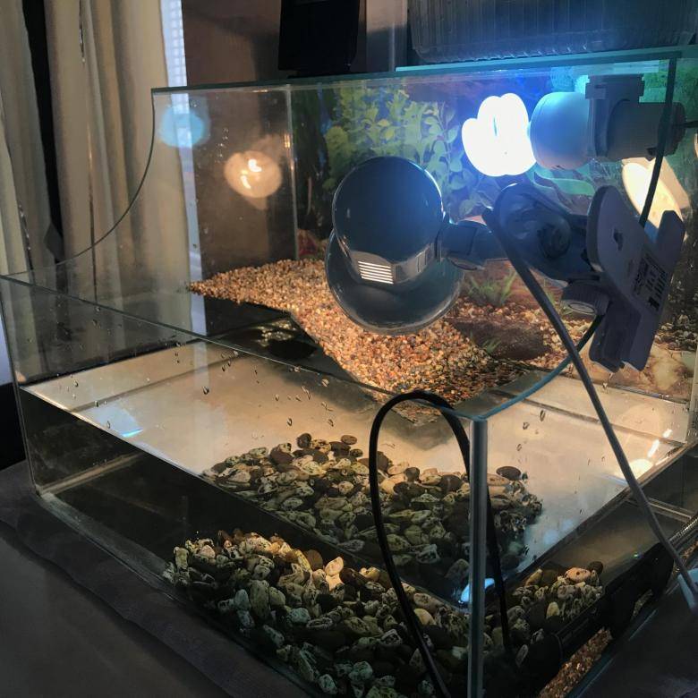 Лампа для водоплавающих черепах