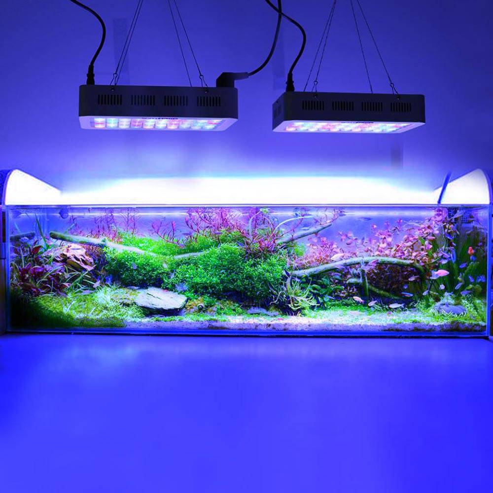 Как выбрать лампу для аквариума: выбор ламп, светильников
